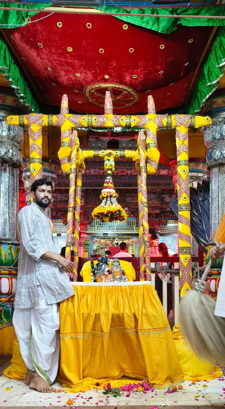 केसरी मखमल के हिंडोले में विराजमान होकर राजाधिराज ने दिए दर्शन।